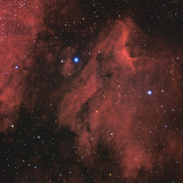 IC5070-Pelican_nebula