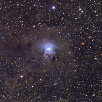 NGC7023-Irisl_nebula