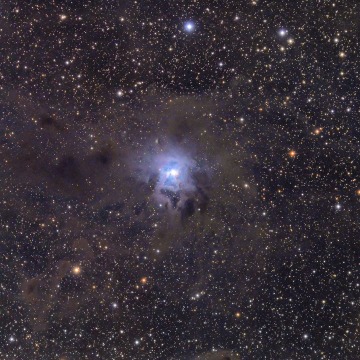 NGC  7023 - Iris nebula
